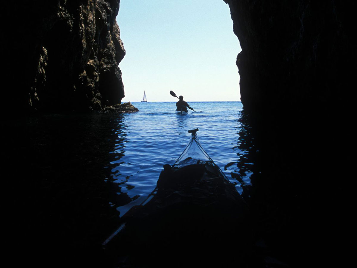 Group of people kayaking